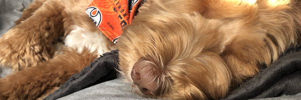 kjmarps Profile Banner