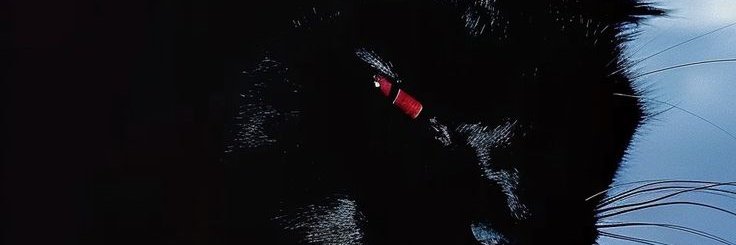 MO'PHEUS (✸,✸) banner