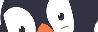 🐧PIMIENTO ROJO banner
