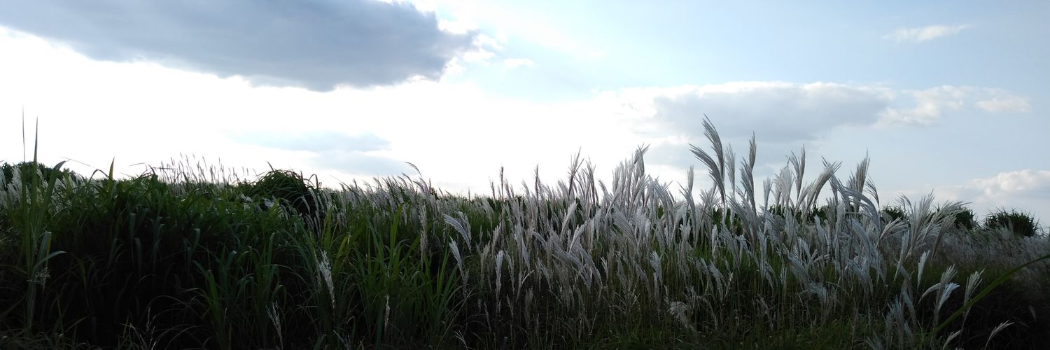 PhDKS_PlantBioT's profile banner image
