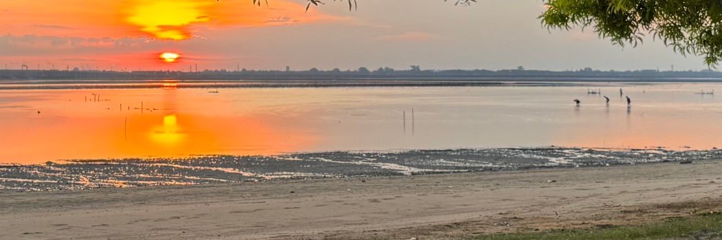 David J Eedle banner