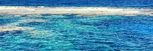 cathyhobbs123 Profile Banner