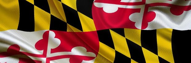 Mark Flanagan banner