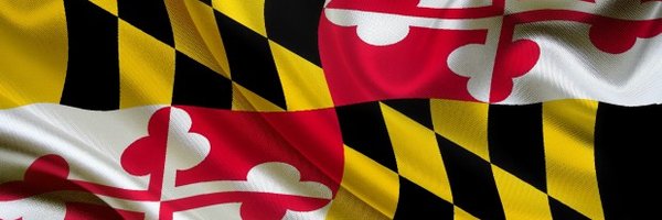 mtflana Profile Banner