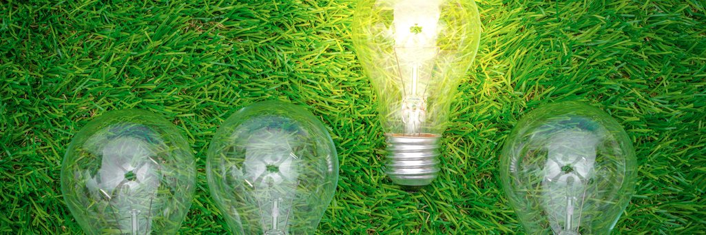 David Leonarrrrrdo banner