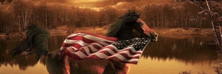 Robin Rothstein banner