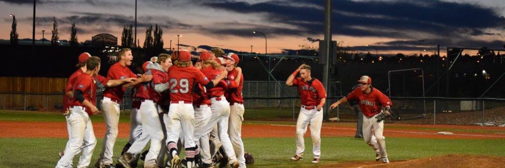 Edmonton Cardinals banner