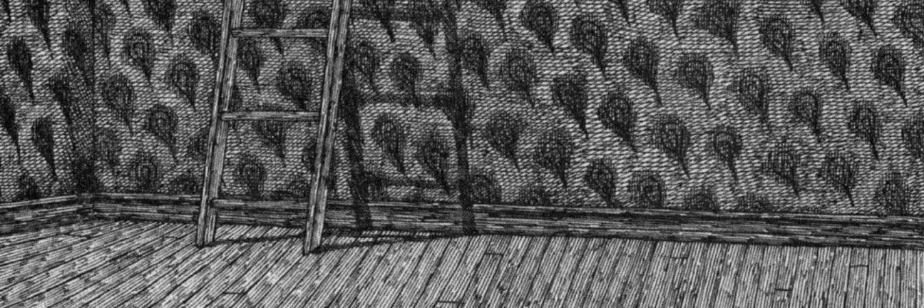 ilibbus's profile banner image