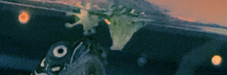 Dewsuf's profile banner image