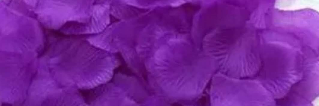 lisa_lfs's profile banner image
