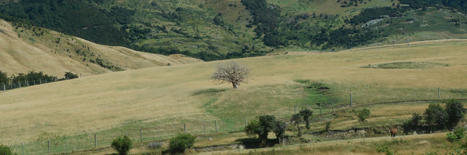 Jeremy James Whitaker banner