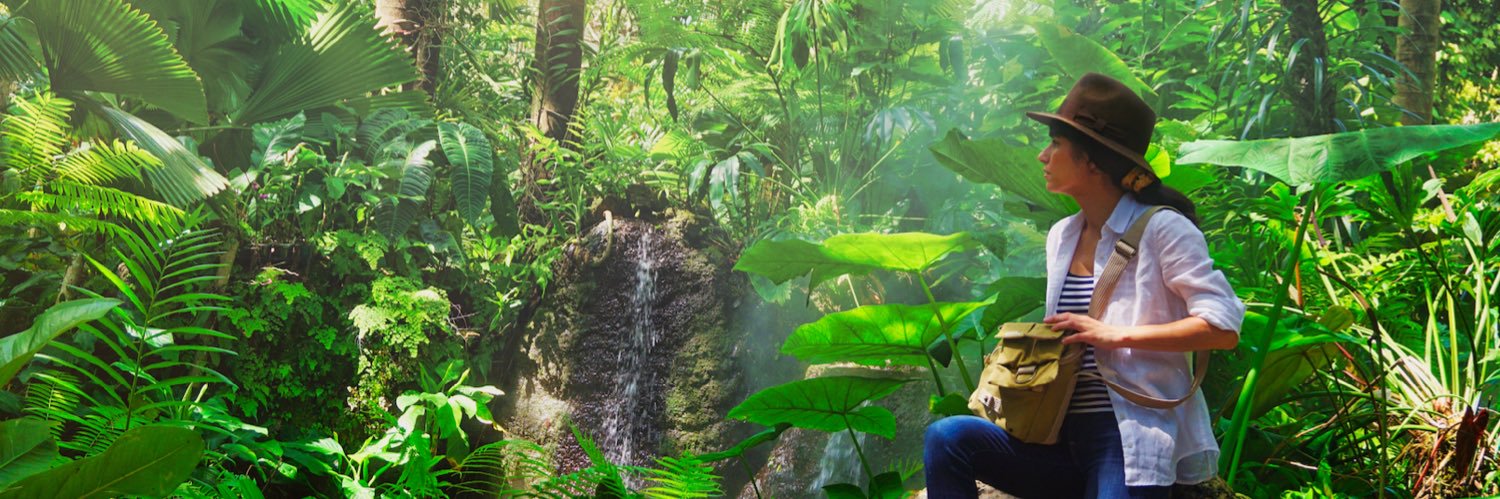 ROMINA || adventureneur banner