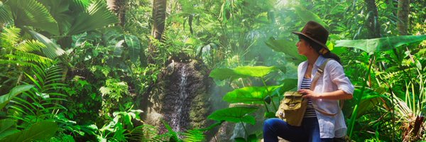 REDROMINA Profile Banner