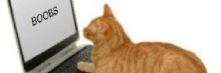 IvyFlintt's profile banner image