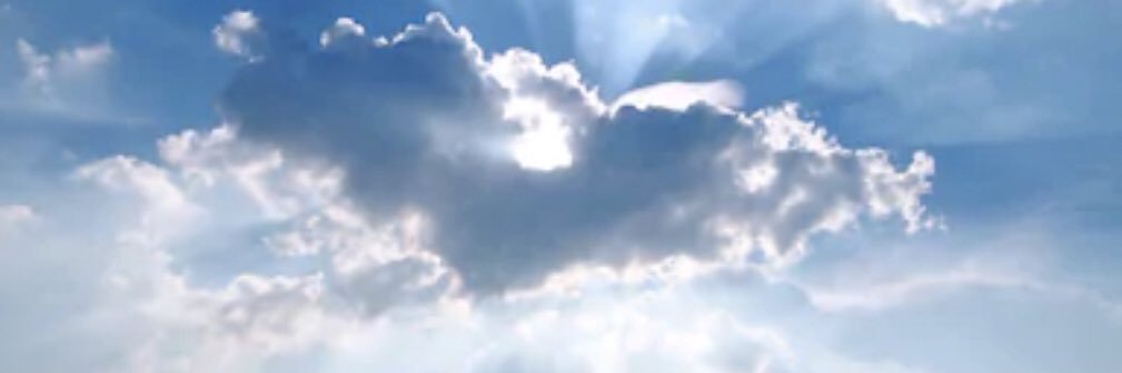 Captain Zugzwang banner