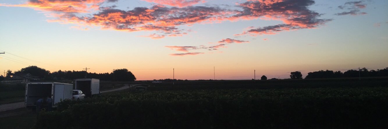 danidawn34's profile banner image