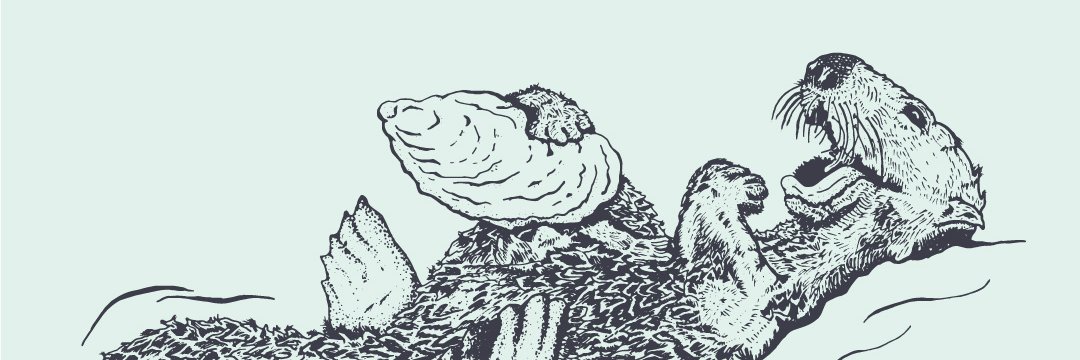 danfloresstudio's profile banner image