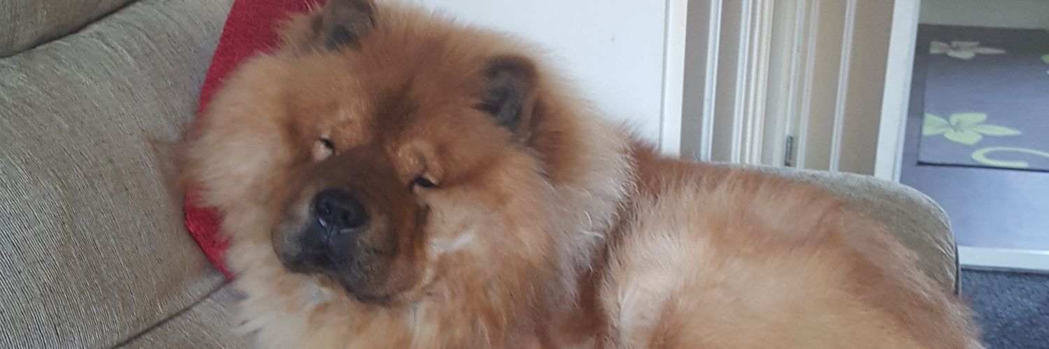 wags73's profile banner image