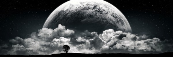 NelsonTo3's profile banner image