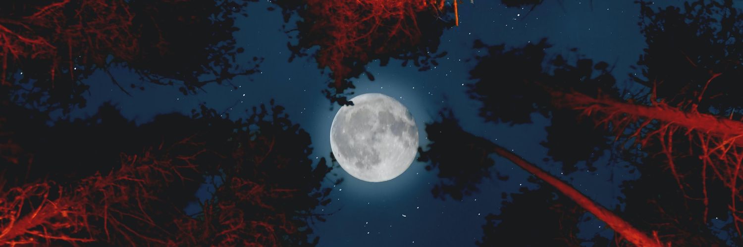 elvidemsrc's profile banner image