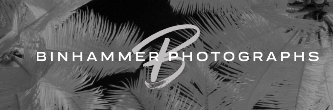 Richard Binhammer banner