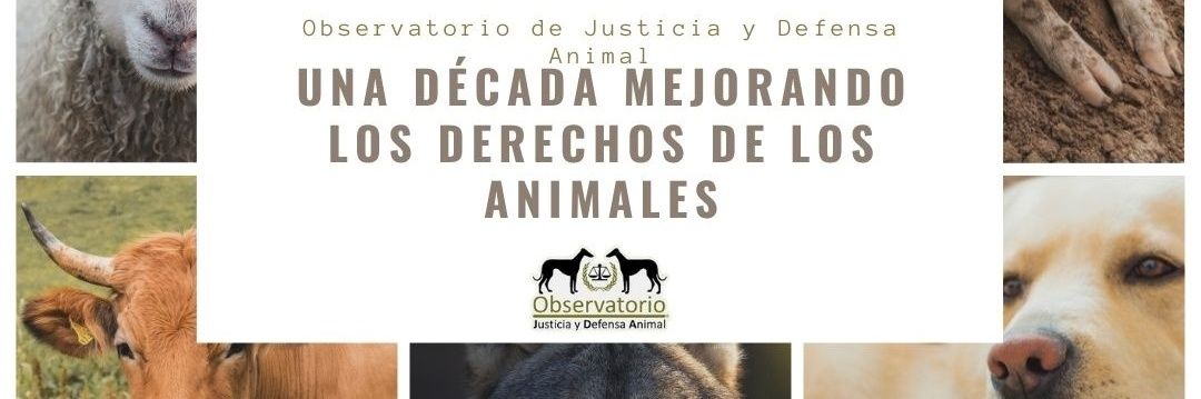 Observatorio de Justicia y Defensa Animal banner
