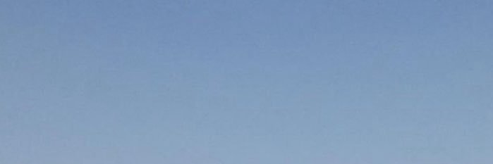 madrelady's profile banner image