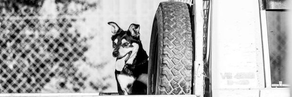 BrianLeahy11 Profile Banner