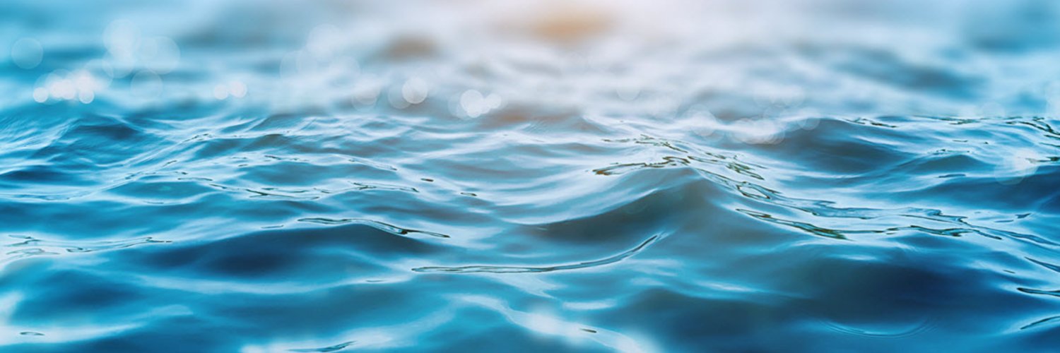 LiesaWise's profile banner image