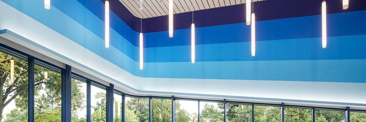 Cat Kirk Kucharek banner