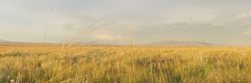 MULTISAR's profile banner image