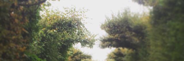 Hey_itsRenae's profile banner image