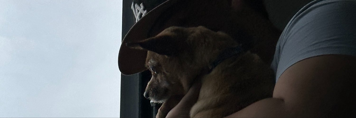 soofidashi's profile banner image
