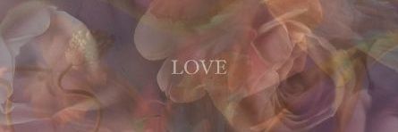 dmmv236's profile banner image