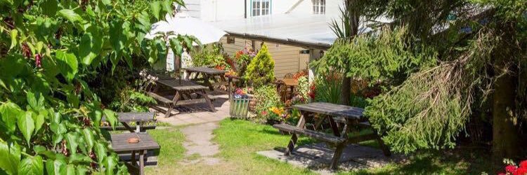The New Forest Inn banner