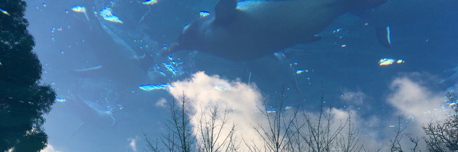 gauldryboy's profile banner image