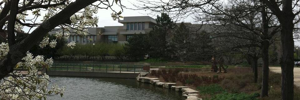 Schaumburg Township District Library banner