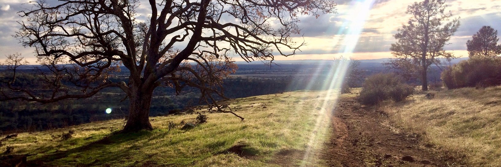 positivorgpsych's profile banner image