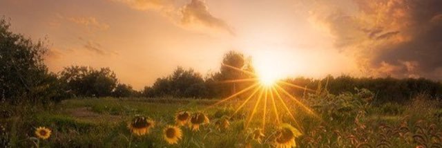 NedaMoayedi's profile banner image
