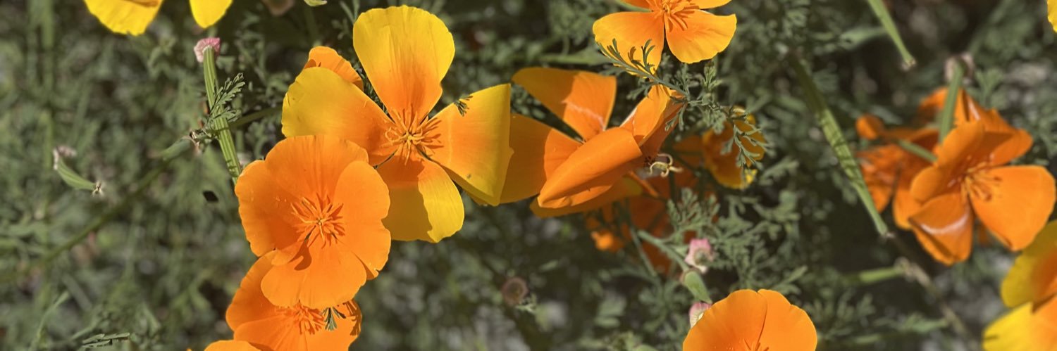 Mayrale55's profile banner image