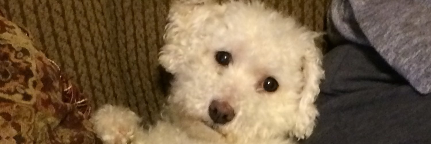 coyhannah's profile banner image
