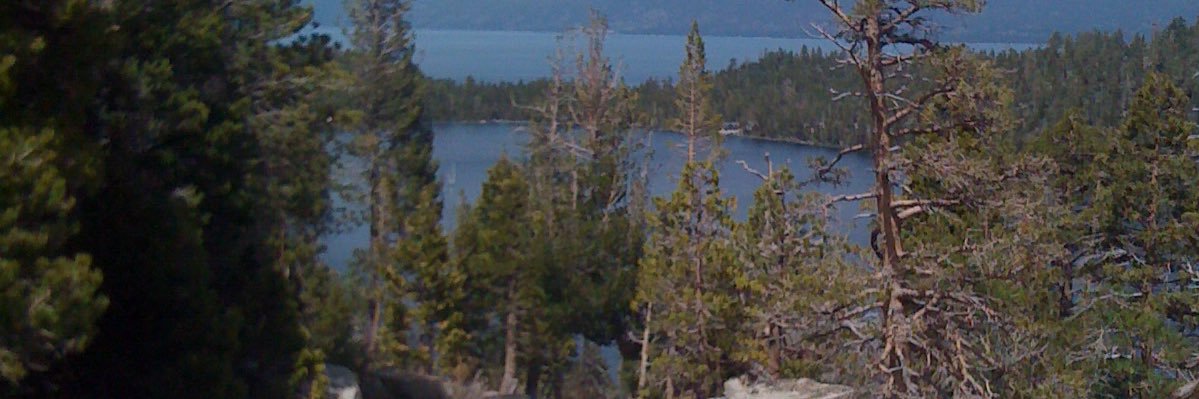 Marissa White banner