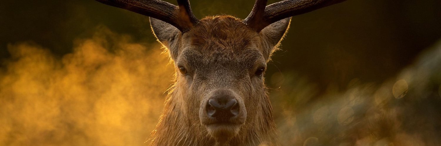 sandykeepsafe's profile banner image