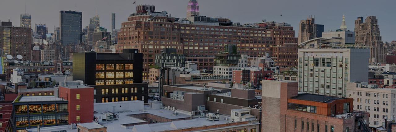 Website Jungle banner