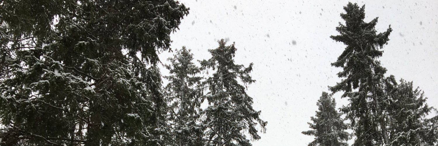 Hannah Currant banner