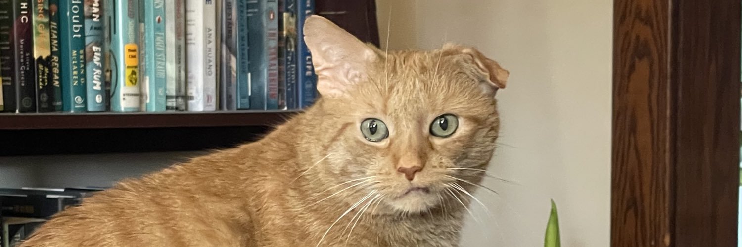 theidealdad's profile banner image