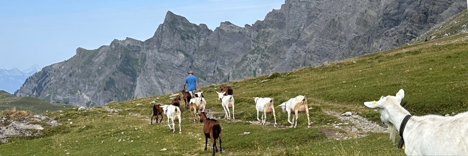 Costapinta's profile banner image