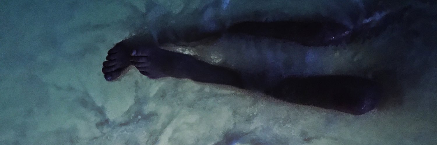 KayleeHuckabay's profile banner image