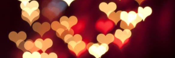 annamaribosko's profile banner image