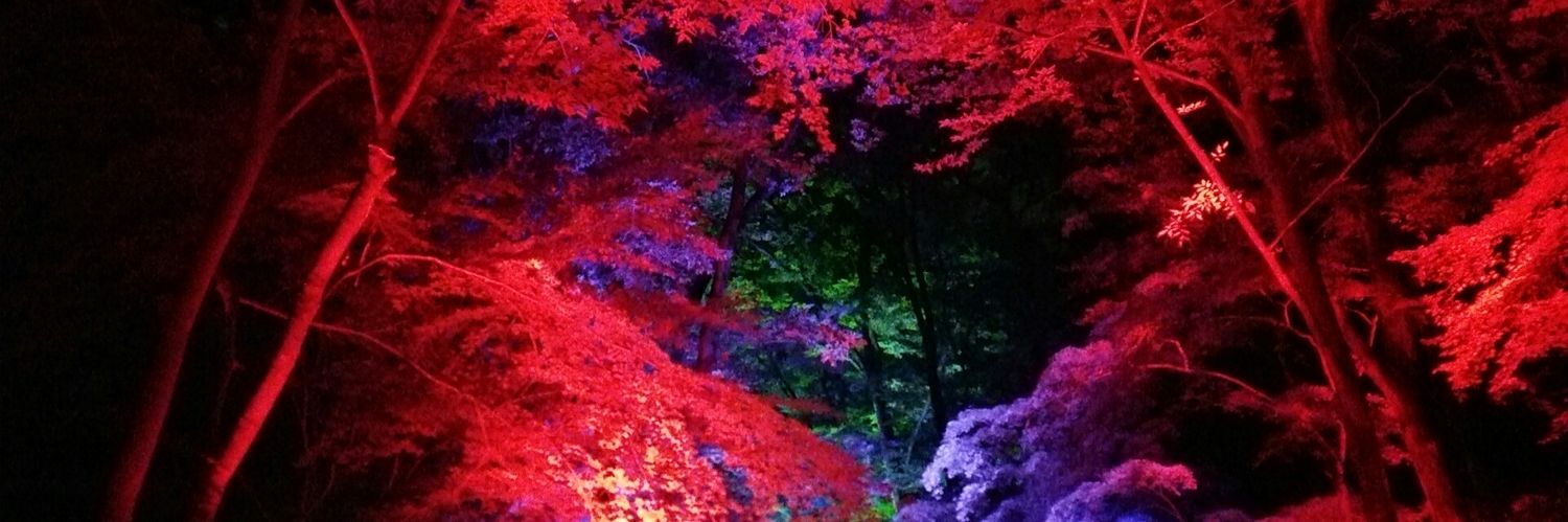 header image